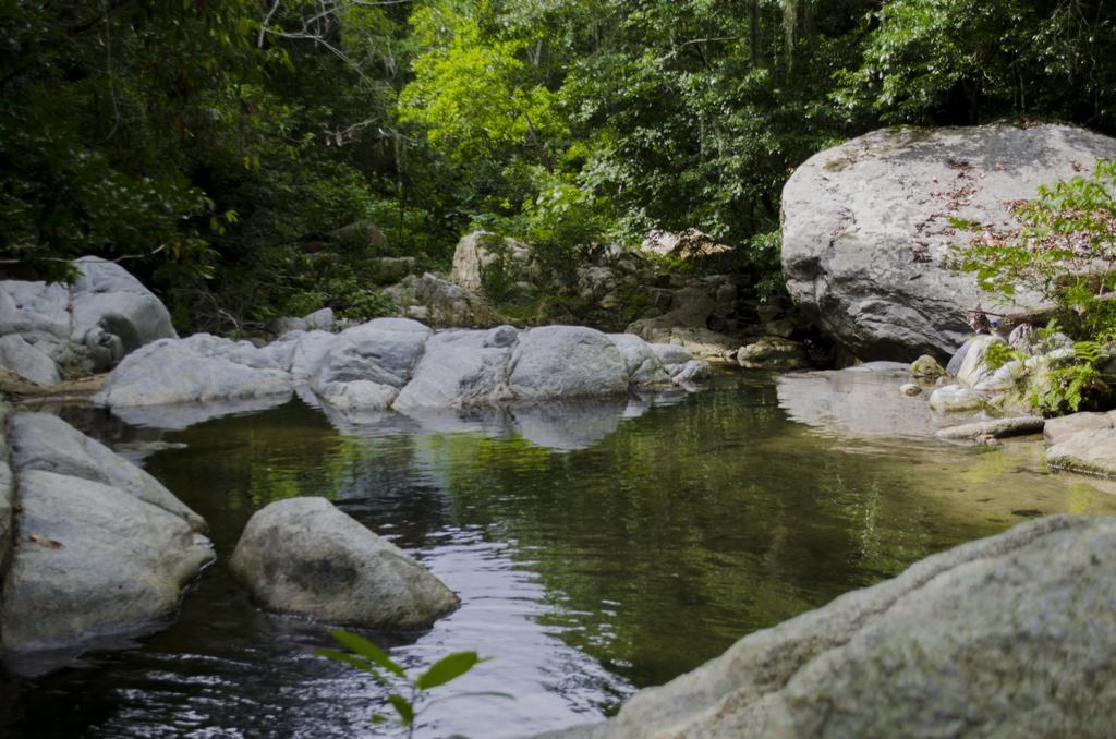 Vila Tayrona Paradise El Zaino Exteriér fotografie